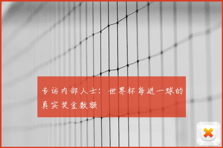 专访内部人士:世界杯每进一球的真实奖金数额