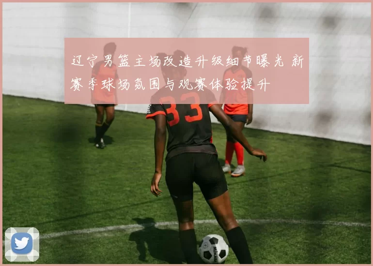 辽宁男篮主场改造升级细节曝光 新赛季球场氛围与观赛体验提升